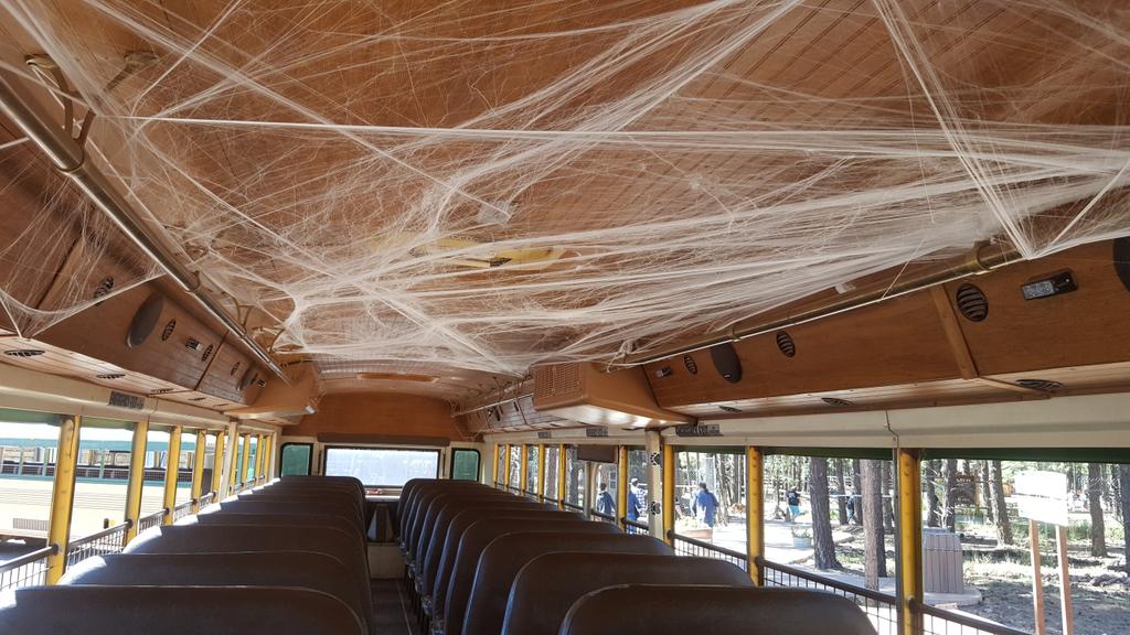 bearizona's tweet photo. #FridayThe13th and #howlygrowly ? Sounds like the perfect day to go through our Scarizona haunted house or take the howl-o-ween bus tour! https://t.co/GpPhUdo0Cr