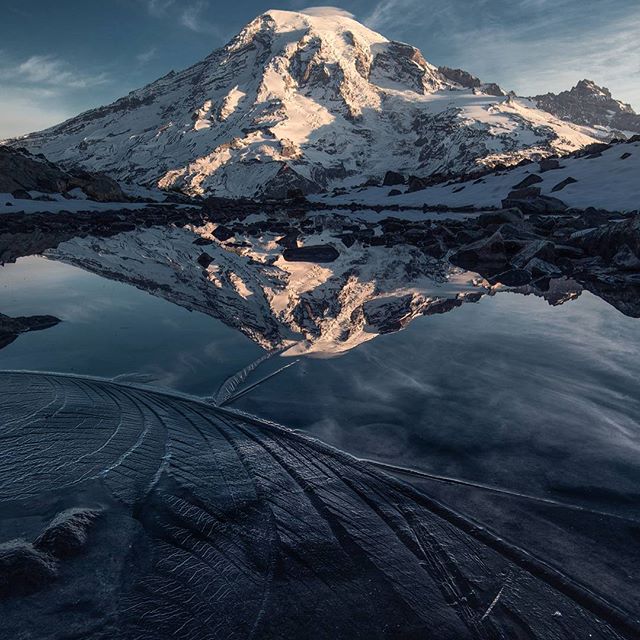 RobertRobi tweet media