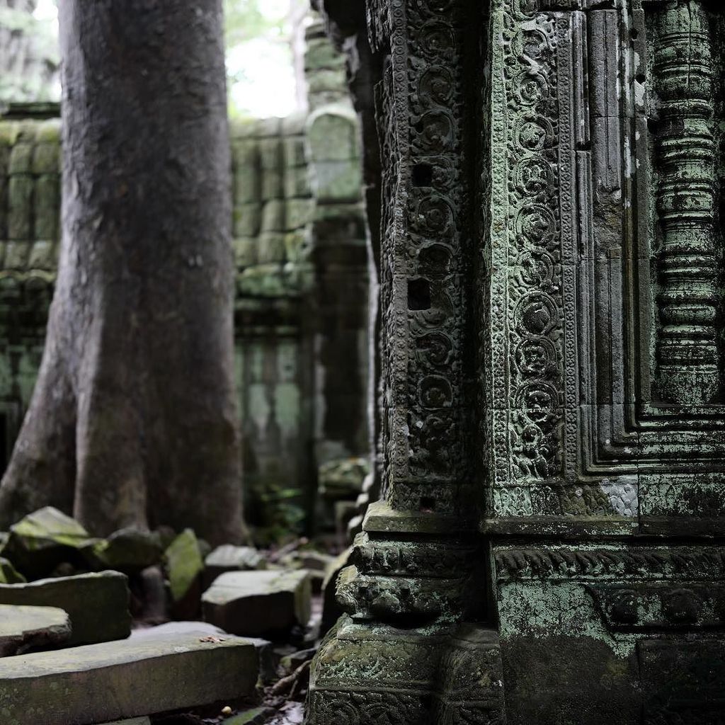 gpandehis's tweet photo. Nature and intricate details https://t.co/z860LCmUDS https://t.co/QAARGRT2fs