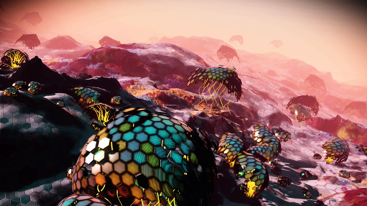PeaceHooligan's tweet photo. I'm so in love with this Hex planet... <3 @NoMansSky @hellogames @NoMansPics @NMSsnaps https://t.co/g5tN0CYTVZ