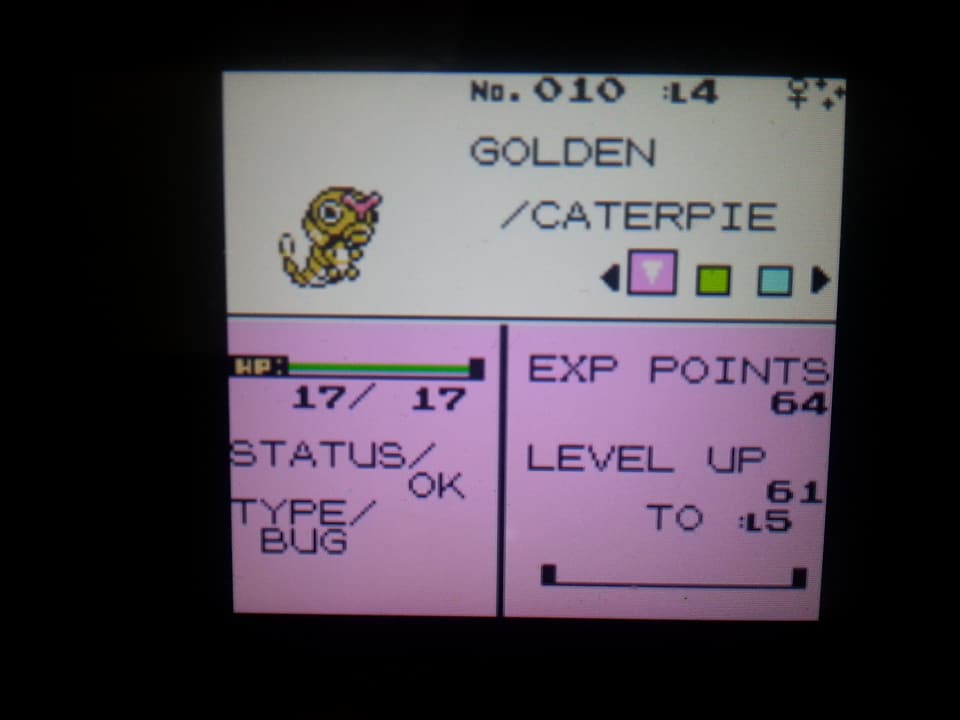 axel_flame19's tweet photo. My first ever full odds Gen 2 shiny! I was just trying to level up my team. I may or may not be crying right now @aDrive_tK https://t.co/cx13q3yUhN