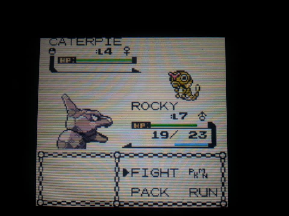 axel_flame19's tweet photo. My first ever full odds Gen 2 shiny! I was just trying to level up my team. I may or may not be crying right now @aDrive_tK https://t.co/cx13q3yUhN