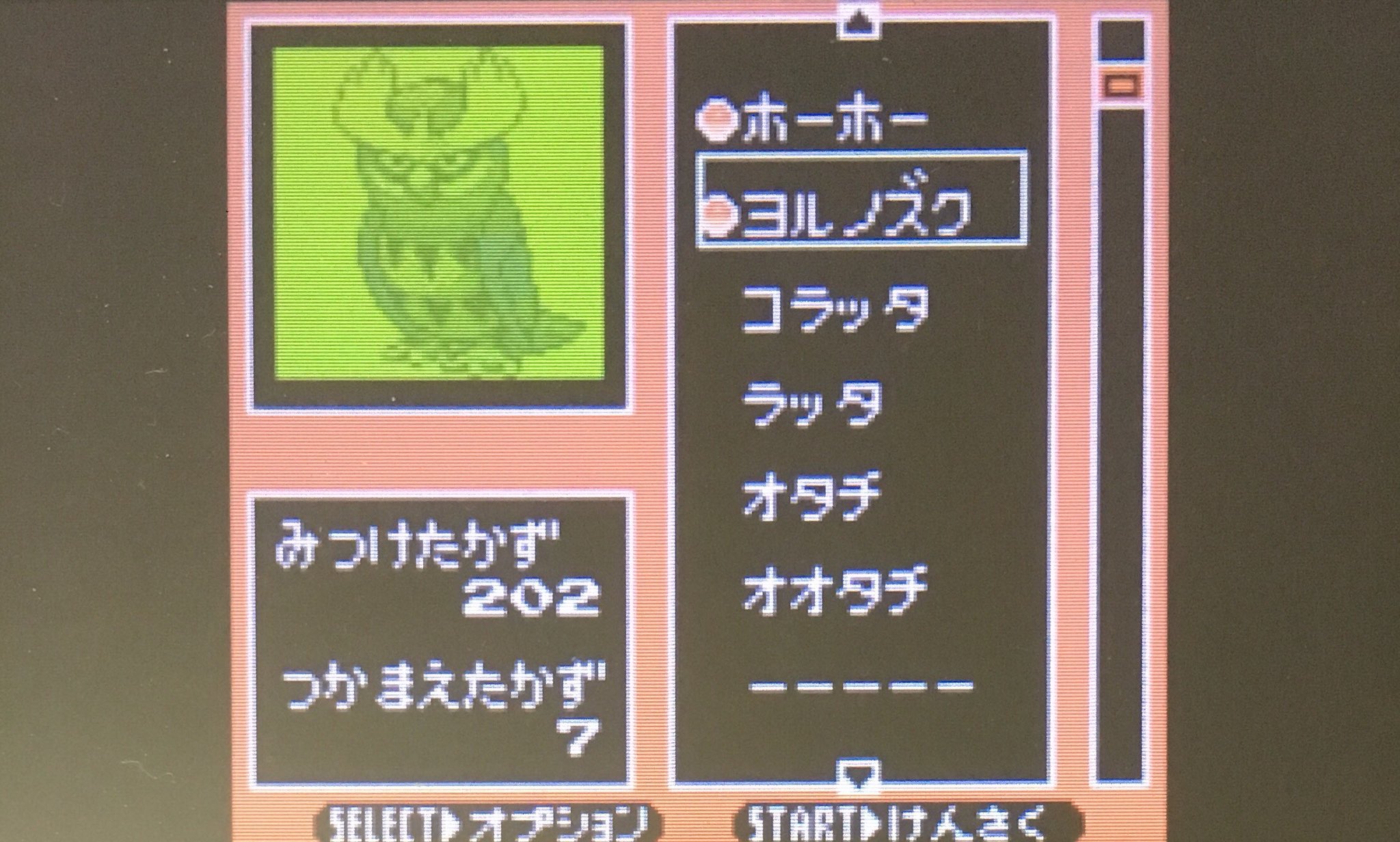 エルザ ポケモンずかんの内訳は の画像も合わせて見る チコリータ 増殖バグの為載らない ベイリーフ ヒノアラシ ワニノコ チコリータと同じ ホーホー 色違い探しの為に捕獲 ヨルノズク アズマオウ たきのぼり要員 ヘラクロス ゴマゾウ Vc金銀