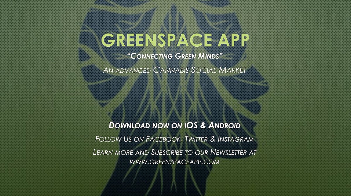 GreenSpace App (@greenspaceapp) on Twitter photo In the process of developing upgrades to <a href="/greenspaceapp/">GreenSpace App</a> now that we have gotten through the soft launch. Looking forward to the future! In the process of developing upgrades to <a href="/greenspaceapp/">GreenSpace App</a> now that we have gotten through the soft launch. Looking forward to the future!
