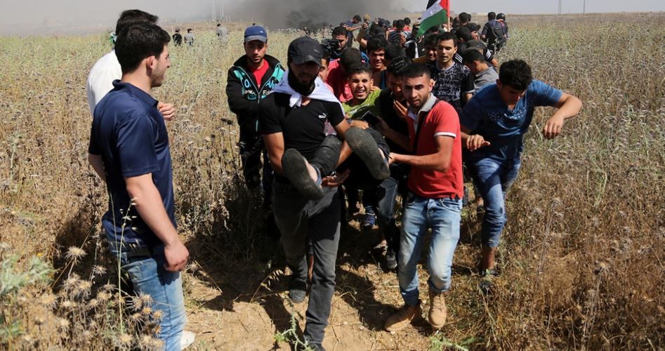 palinfoen's tweet photo. Two injuries by IOF gunfire reported in Gaza Strip
https://t.co/9M8ftiUNMY
#IOF_violations #Gaza via PIC @PalinfoEn https://t.co/RRIJJ9ctOr