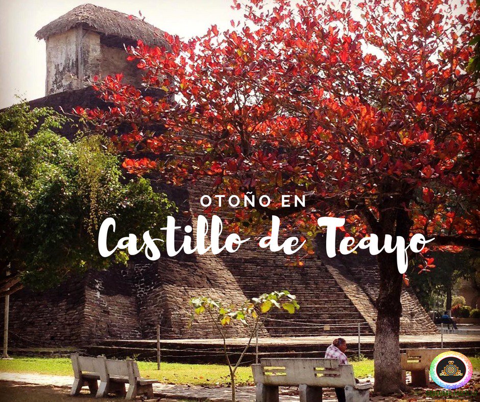 castillodteayo's tweet photo. Otoño en #CastilloDeTeayo #DescubreCastillo #ViveCastillo #ZonaArqueologica #Veracruz #Mexico #PuebloMexicano #HuastecaVeracruzana https://t.co/ZmePcDNY9b