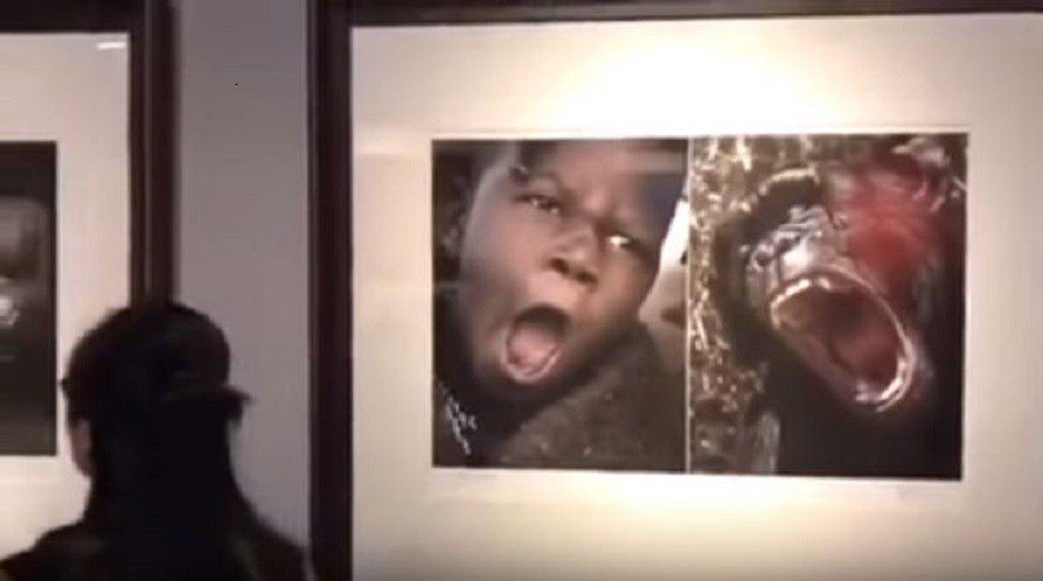 okayplayer's tweet image. Chinese museum removes photo exhibit comparing black people to animals. bit.ly/2zmkZno