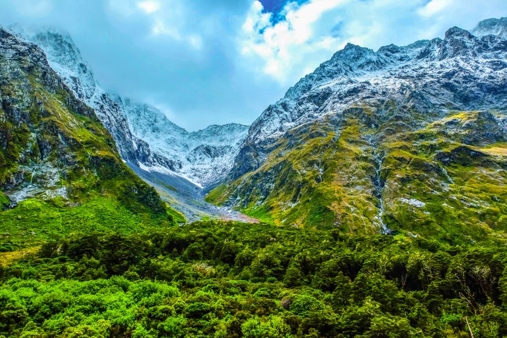 🚨  Today is the last day to enter our Study Abroad in New Zealand Scholarships! Apply NOW: buff.ly/2xZ3YCa #FollowtheKiwi