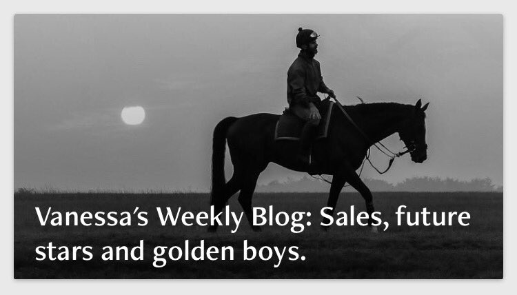 Racing Insider App tweet media