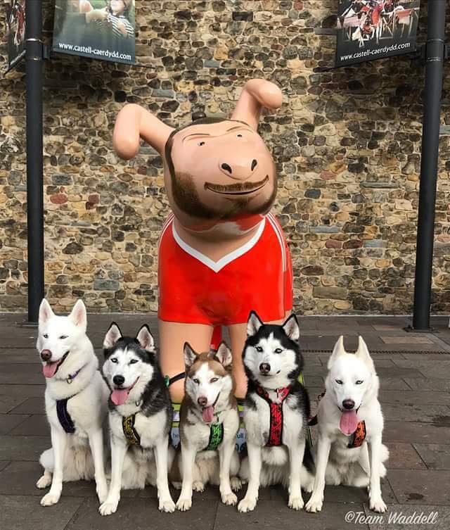 Local_Ladsnowdog17 tweet media