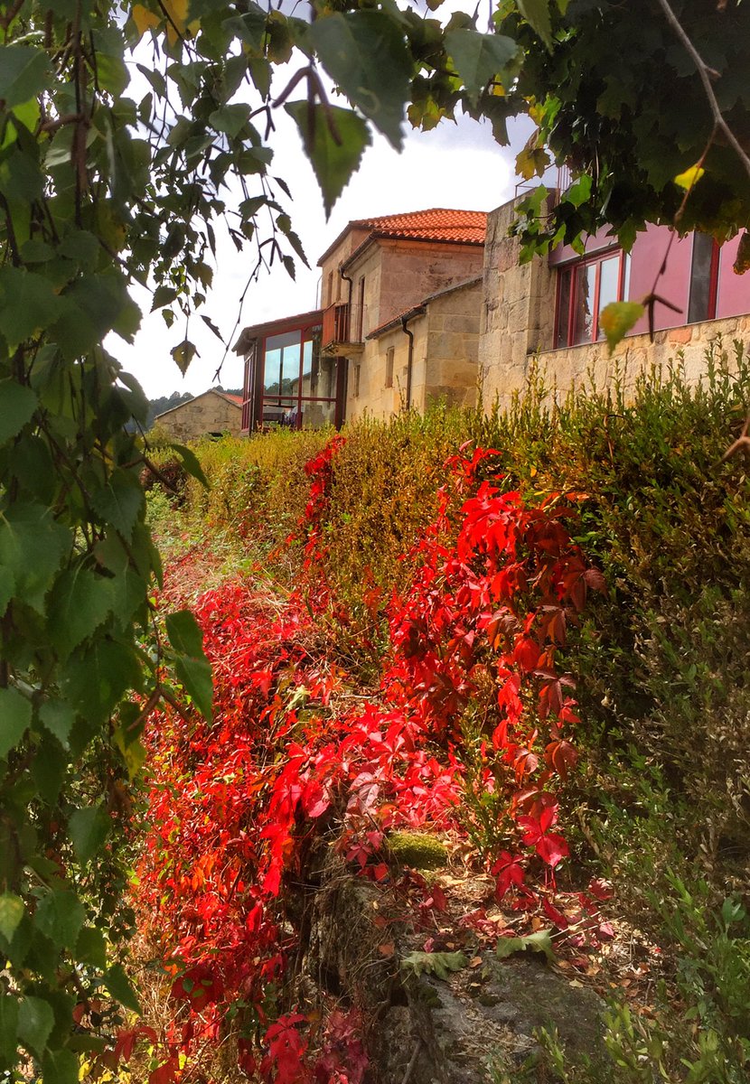 EscribanadTorgo's tweet photo. El otoño despierta tu lado romántico?,  https://t.co/hro8y7mtsm https://t.co/JUQiblqLdM