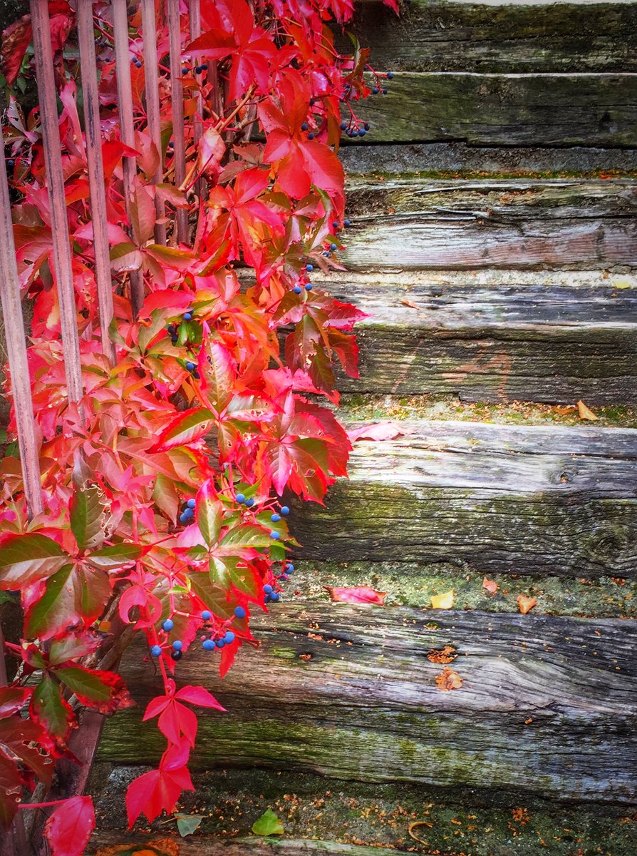 EscribanadTorgo's tweet photo. El otoño despierta tu lado romántico?,  https://t.co/hro8y7mtsm https://t.co/JUQiblqLdM