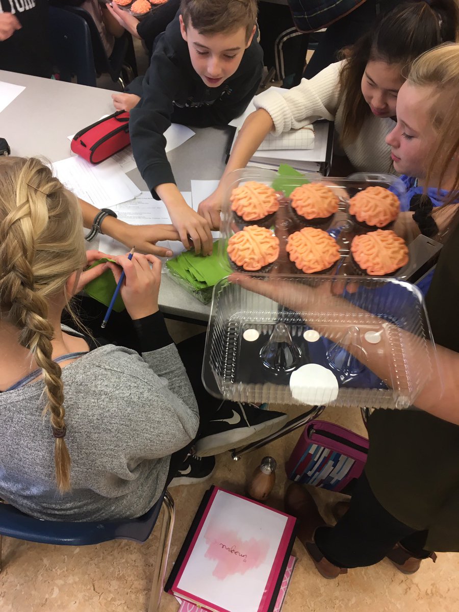 BRAININMOTION's tweet photo. #PhysiologyFriday Cupcakes from @MoreishCakesYYC https://t.co/ohkGZYzjjm