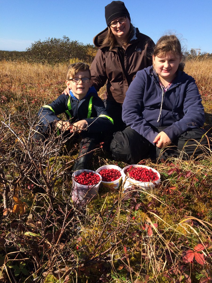 A great time of year for berry picking.