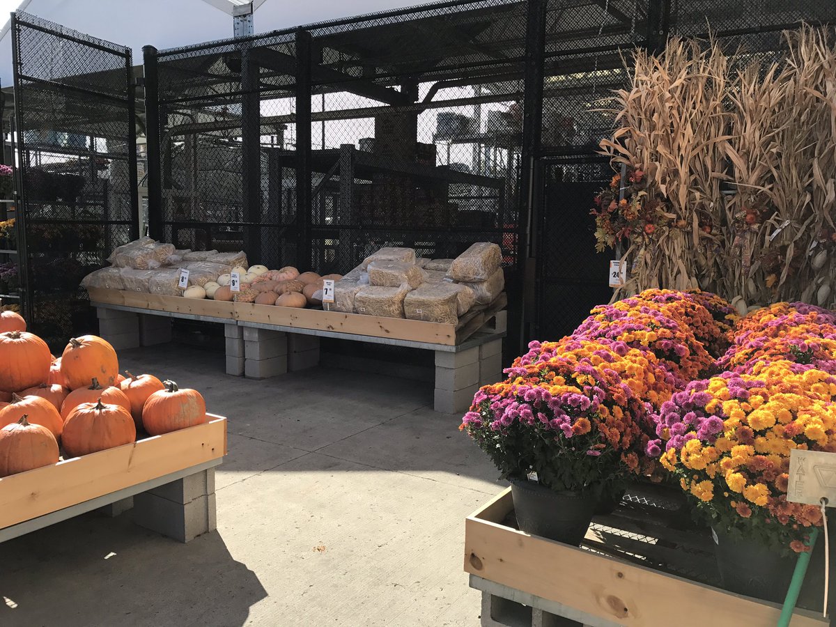 susan_plog's tweet photo. Join us Saturday &amp; Sunday for Week #4 #FallHarvestWeekends @HomeDepot near you! @KurtWeissGH https://t.co/fu2QMzO2h9
