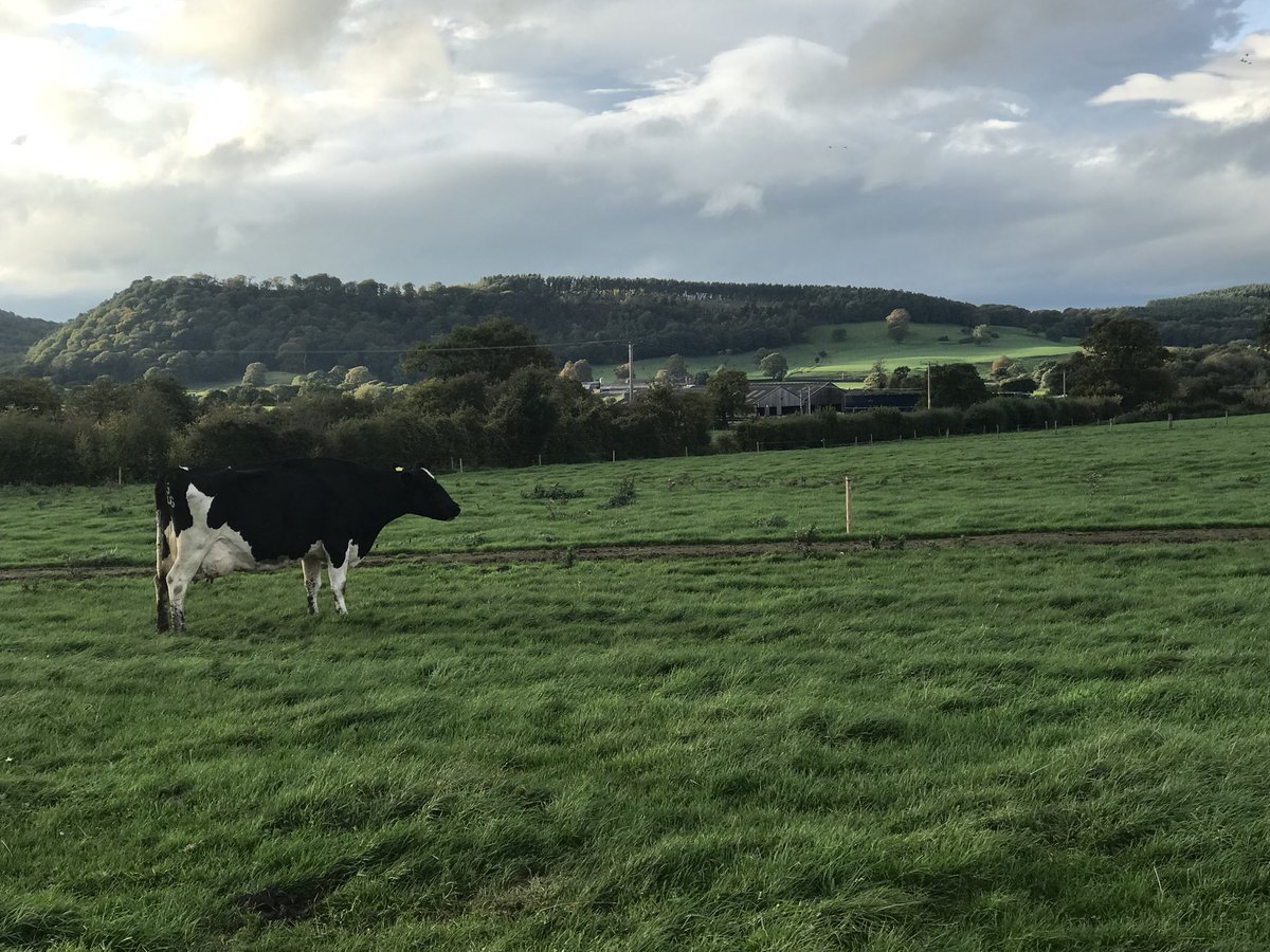 HelenAtFarm's tweet image. We have had a great day out in the field with @HarbroLtd