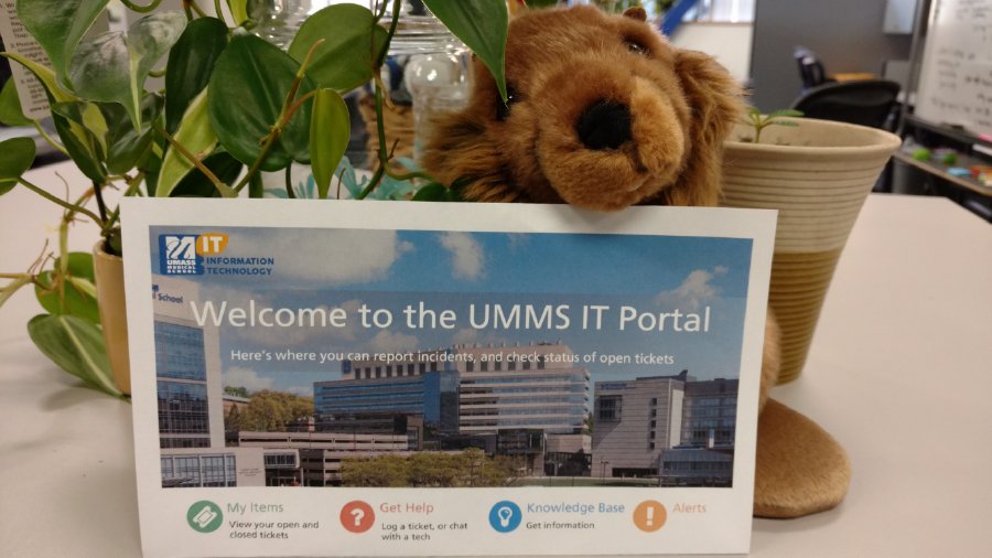 UMassChanIT's tweet photo. Greater Visibility into your IT Requests via Enhanced IT Self-Service Portal https://t.co/3SXeHS3CY6 https://t.co/Ecy6Cd1Wyq
