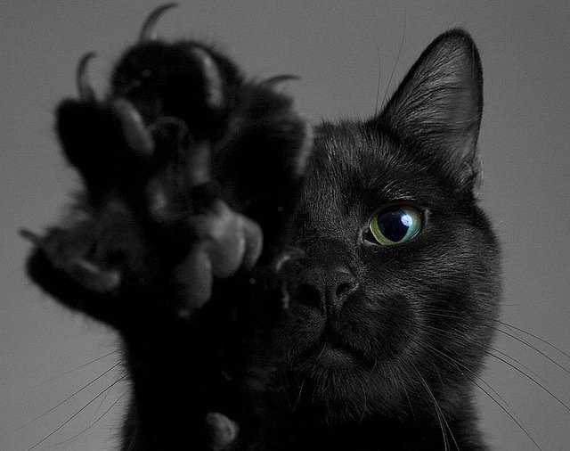 GabyMeza8's tweet photo. ¿Alguien dijo #Viernes13? https://t.co/9oTsfVXIlm