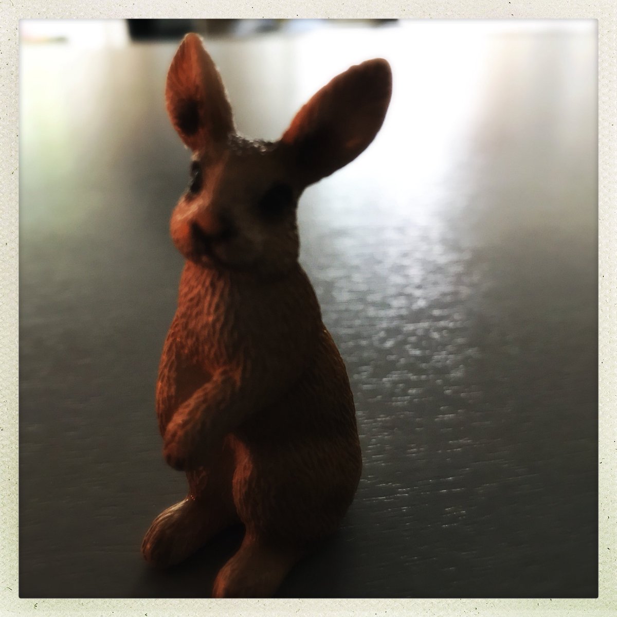 jfknoar's tweet photo. Passion Lapin 🐰 Tous les jours ma fille ramène de l’école tout ce qui s’apparente à un lapin Aujourd’hui Rikki. #chipeuse https://t.co/F6g1xJ2upu