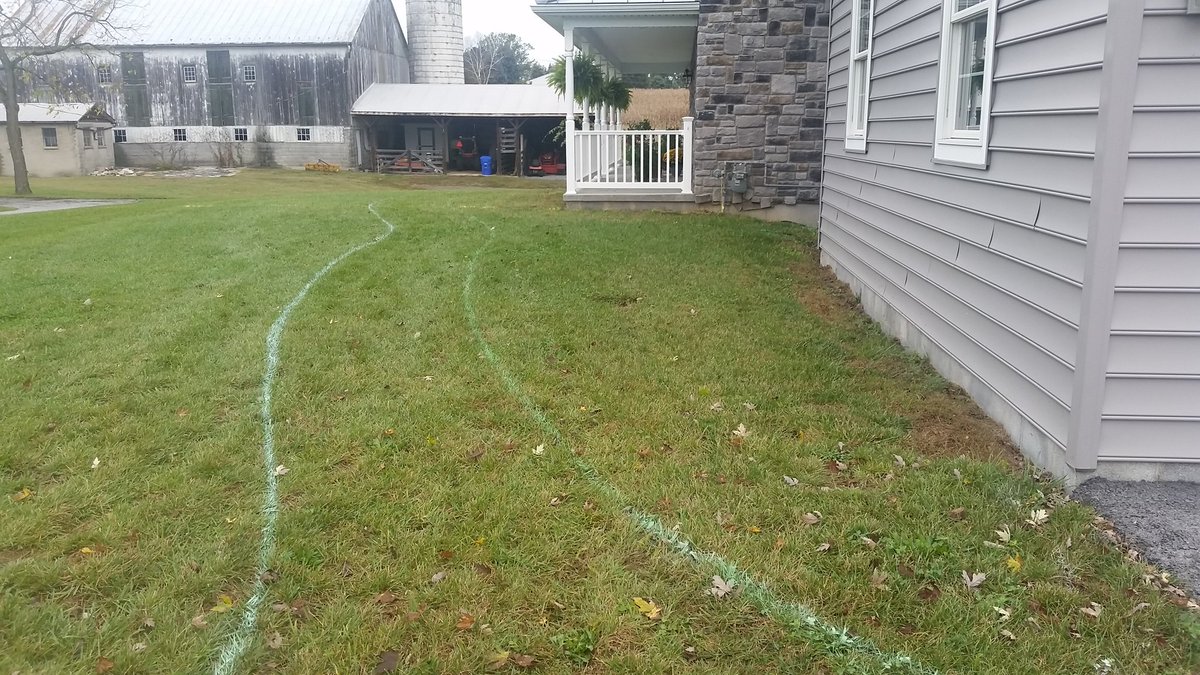 Bear Turf tweet media