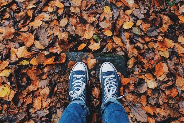 FSAstore's tweet photo. Contending with #fallallergies? Use your #flexdollars on FSA-eligible products to keep your symptoms under control.

https://t.co/uLxqZZP0hF https://t.co/rYcLDxgWgm