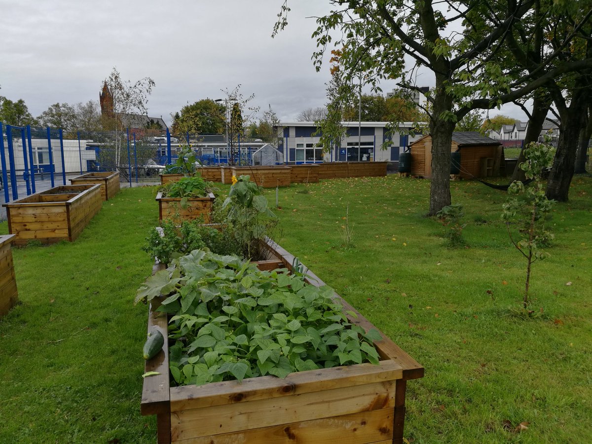 PrimaryFoodEd's tweet photo. Our school allotment, giving children the chance to grow food and then cook with it. @SoilAssociation @Foodafactoflife #getchildrengrowing https://t.co/LhYFm6xDml