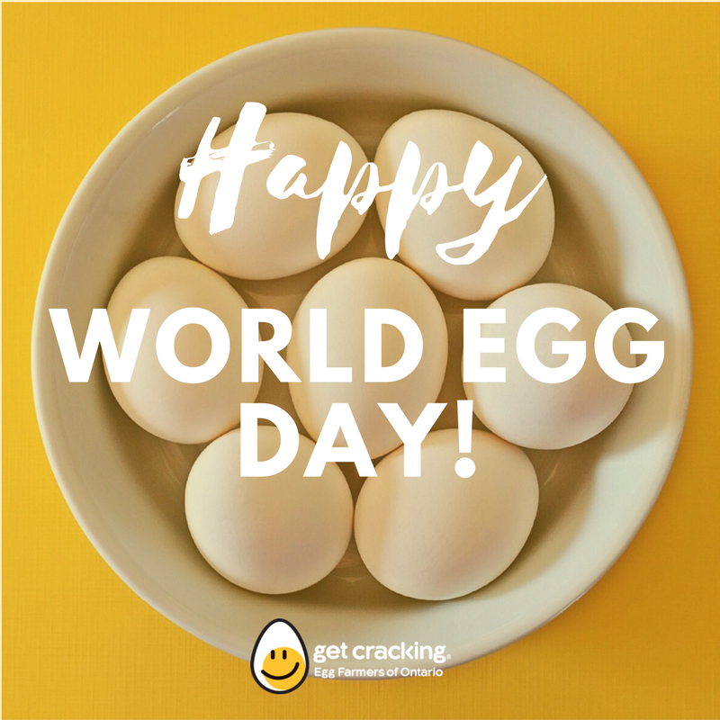 GetCracking's tweet photo. Its #WorldEggDay! How do you plan on celebrating? https://t.co/co2gctb3mJ