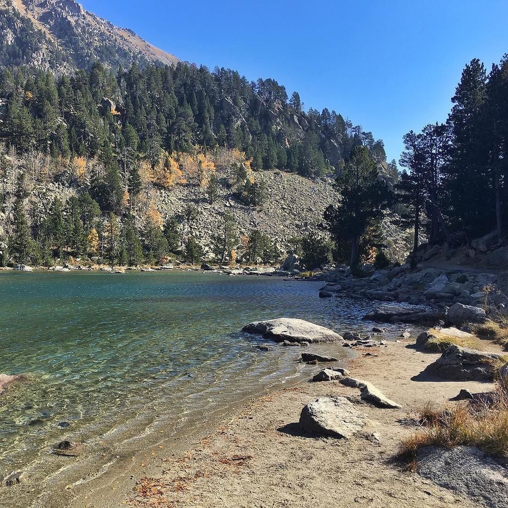 burgerplatz's tweet photo. Platgeta del Pallars.
💙💚💙💚💙
#autumn #beautiful #season #seasons #fall #instagood #color #warm #sunny #sun #waterpr… https://t.co/MqVJ1W2wxZ https://t.co/35Wo19IufM