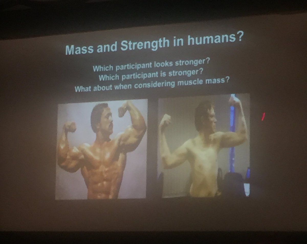 PHI_IMS's tweet photo. Prof Claire Stewart: research relating to increased muscle mass, bigger isn’t always stronger #IPED17 https://t.co/JolhKZt0KE