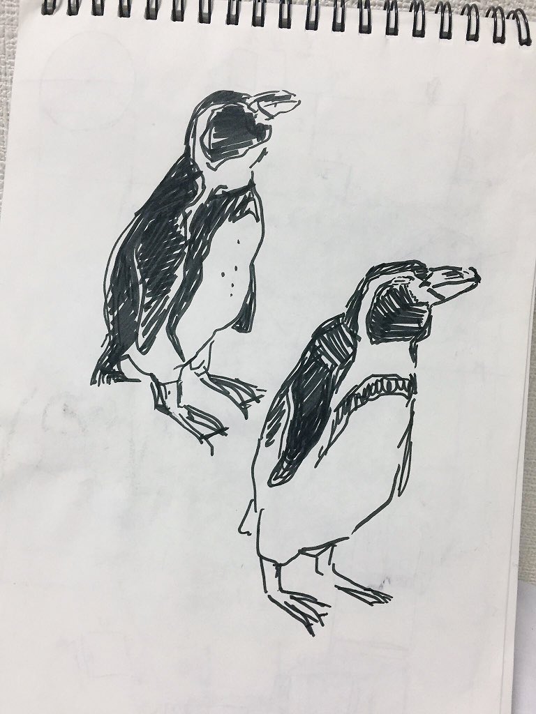 動物園行ってきた 