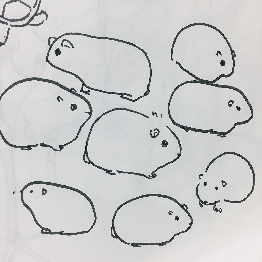 動物園行ってきた 