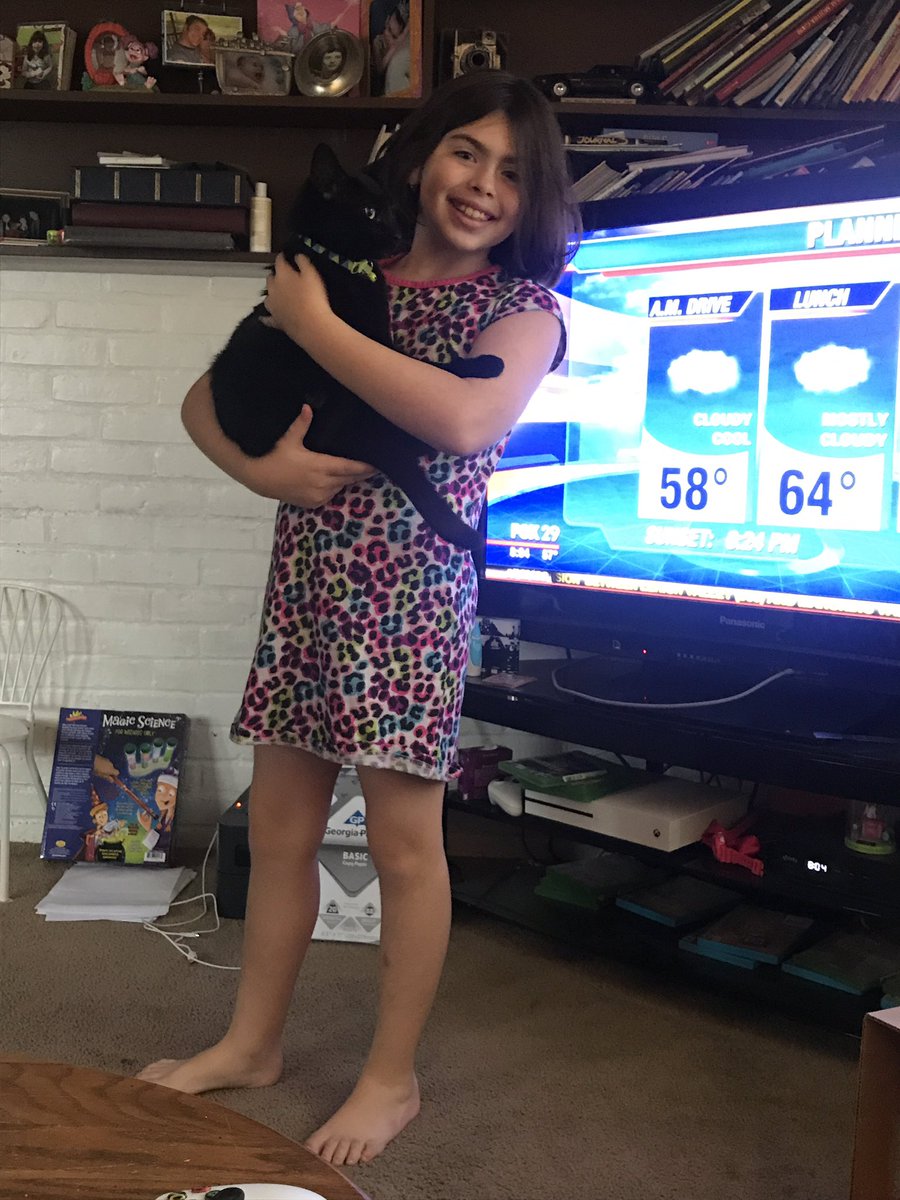 runningyogi929's tweet photo. Watching #Fox29GoodDay and matching  #busstopbuddy 's black cat #FridayThe13th @SueSerioFox29 @bobkellytraffic @AlexHolleyFOX29 @MikeFOX29 https://t.co/SoAjrmre4s