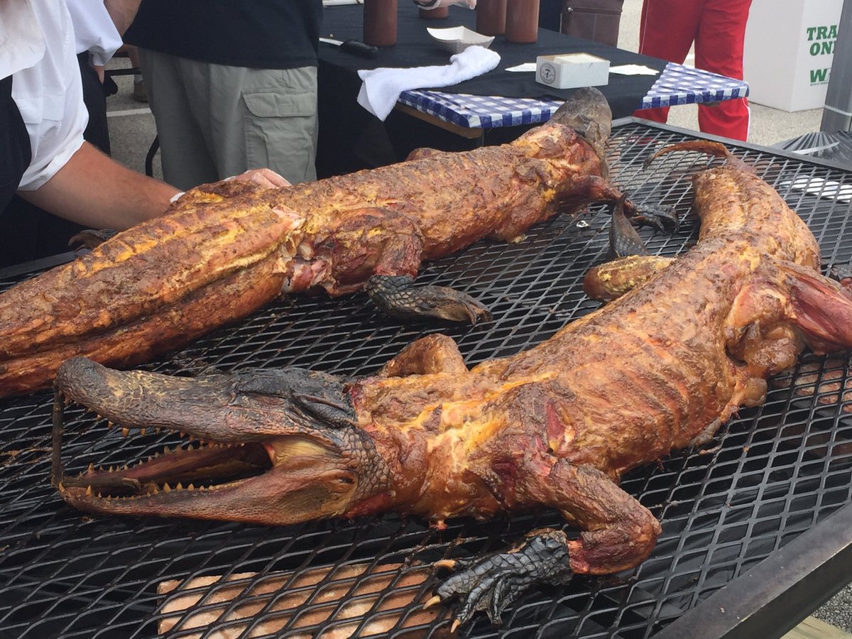 AgRiley79's tweet photo. How about a little BBQ Gator? @TexAgsRadio @GabeBock #BTHOflorida https://t.co/ZiVDuHliwk