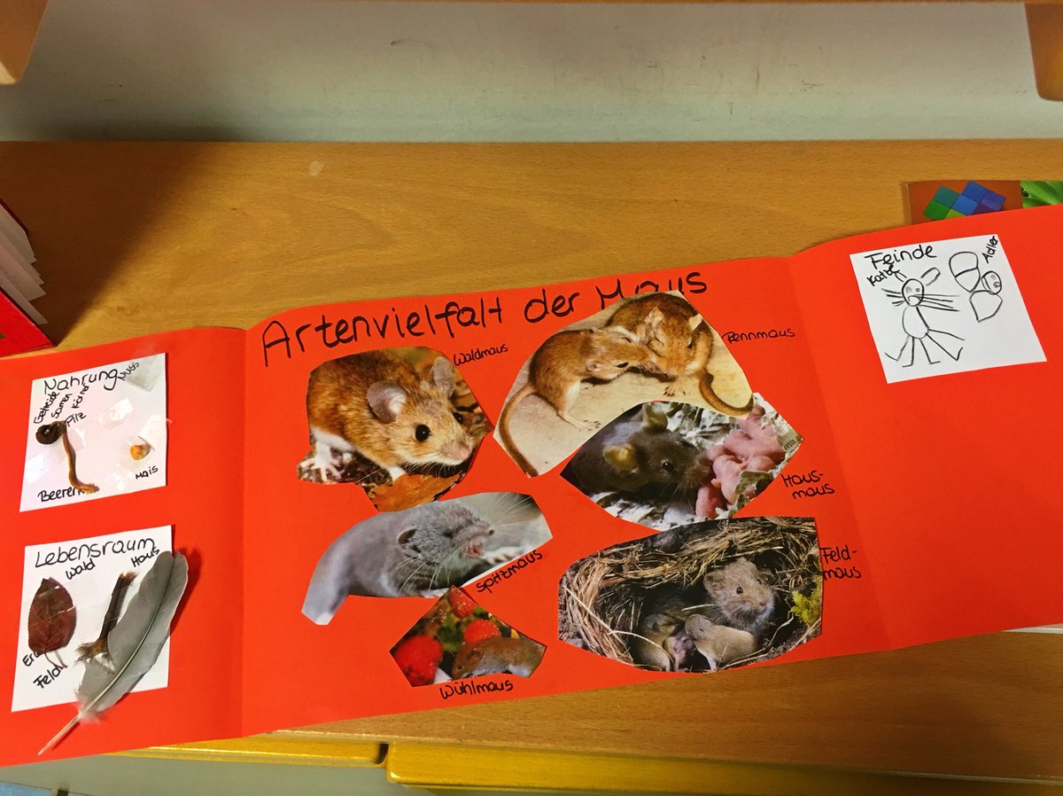 7juli4's tweet image. Also so eklig ist’s dich nicht oder? #2lt