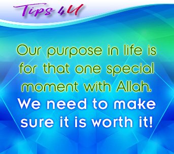 AbtIslamNet's tweet photo. Tips 4U: Our purpose in life is that one special moment with Allah! 

#Tips4U #IslamicFaith #JudgementDay https://t.co/Q7PuZXELsa