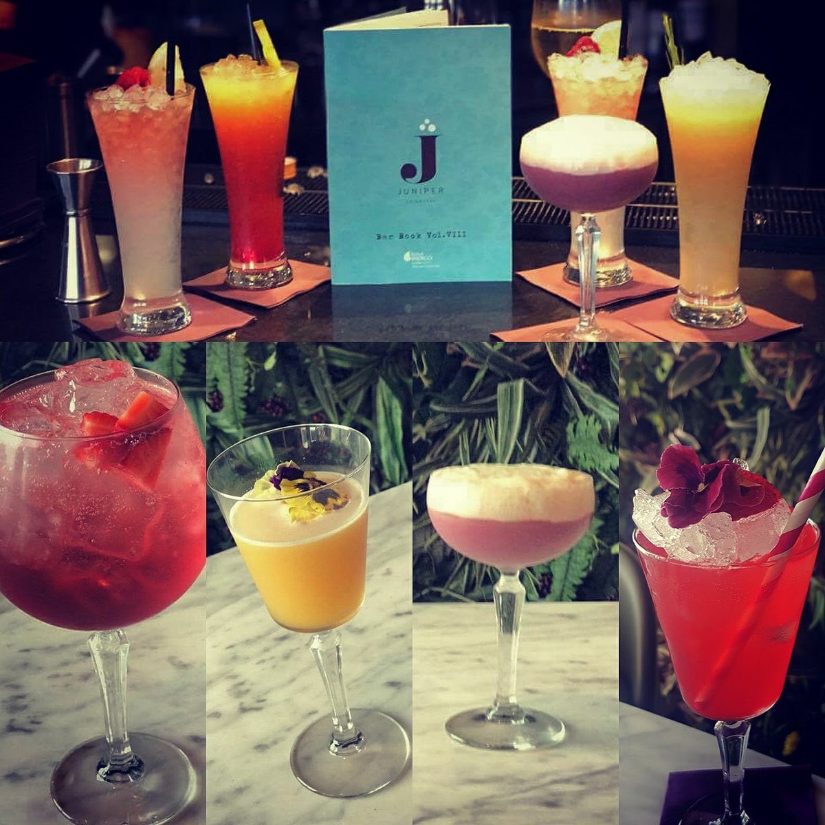 Juniper Edinburgh tweet media