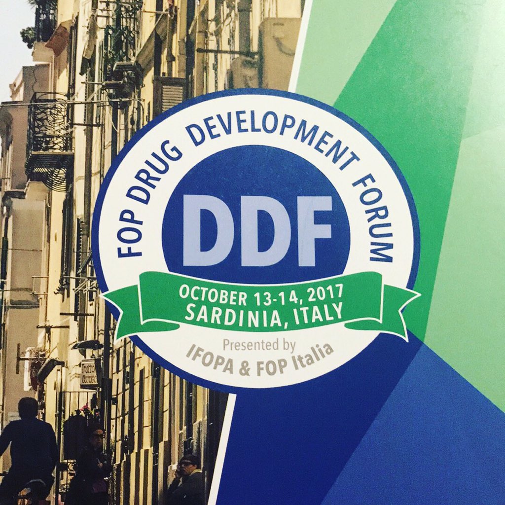 MichelleDavisKC's tweet photo. #DDF2017
95 clinicians researchers industry partners
67 family members
14 IPC members
7 from @ifopa Research Cmte
2 from EMA & EURODIS https://t.co/cVfwXmnJIx