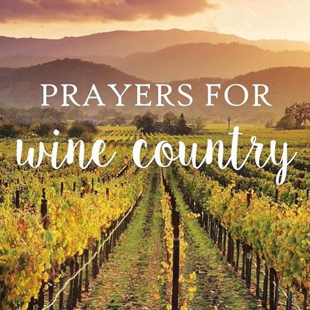 winetastingpath's tweet photo. So much tragedy in the world! Please pray for #nocal #winecountry and donate if you can! #prayforwinecountry #theyneedourhelp https://t.co/W6kr2xu0Ih