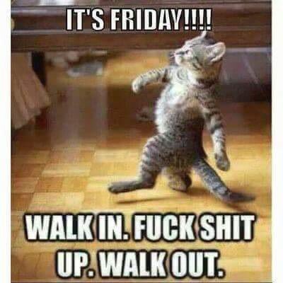 GCrowshaw's tweet image. I HOPE YOU’RE ALL HAVING A DECENT FRIDAY FOLKS 😉👍🏼