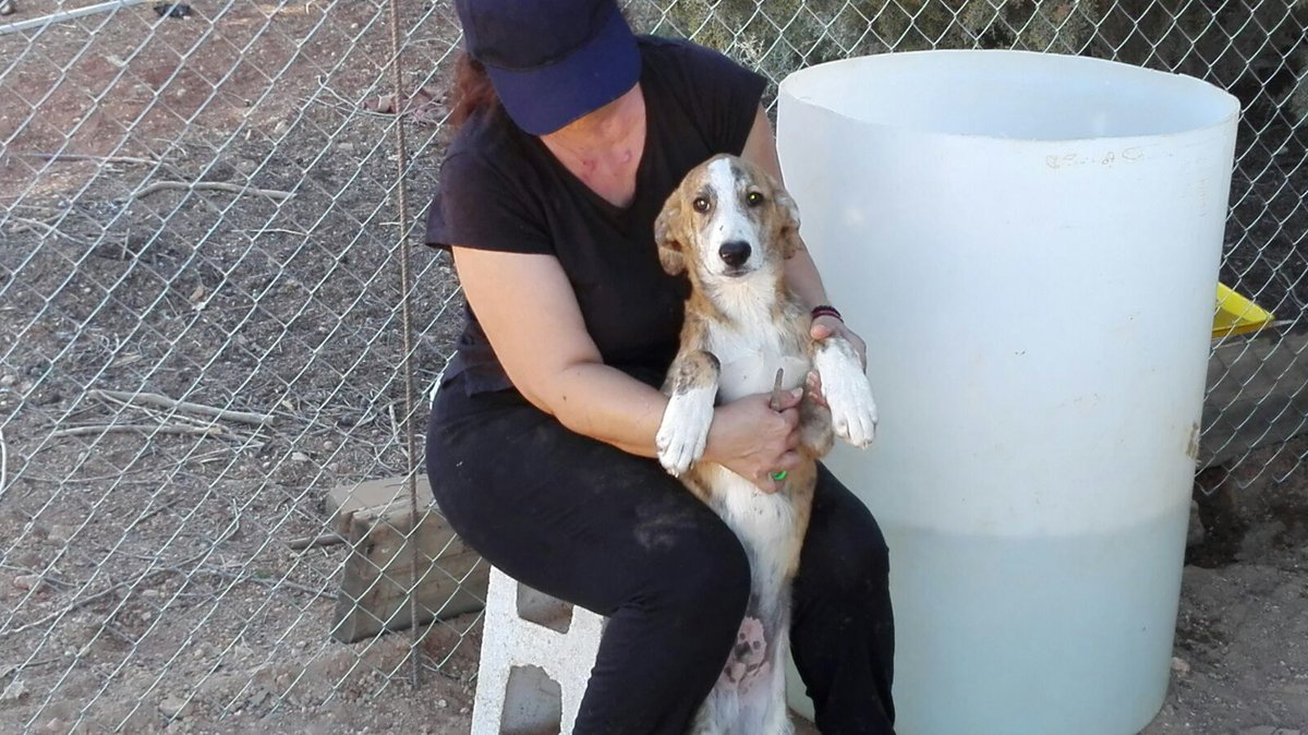 POR FAVOR DIFUNDAN!!!! URGENTE!!! CORREN PELIGRO!!