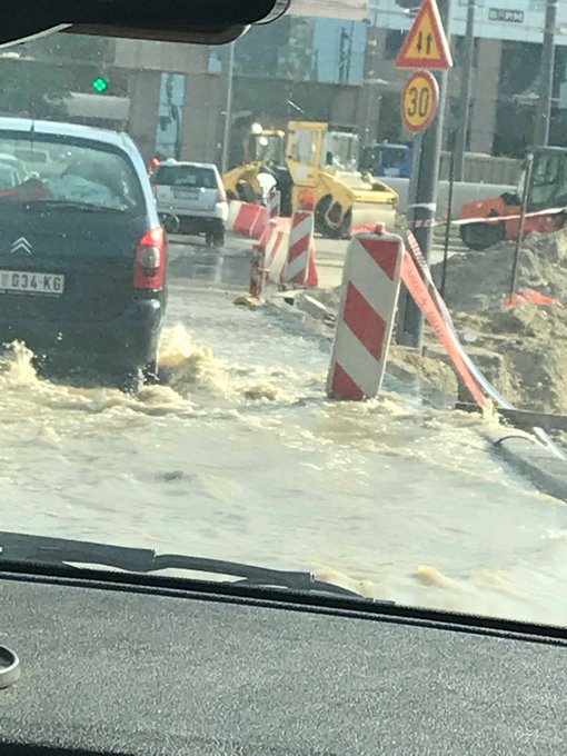 Погледај слику на Твитеру