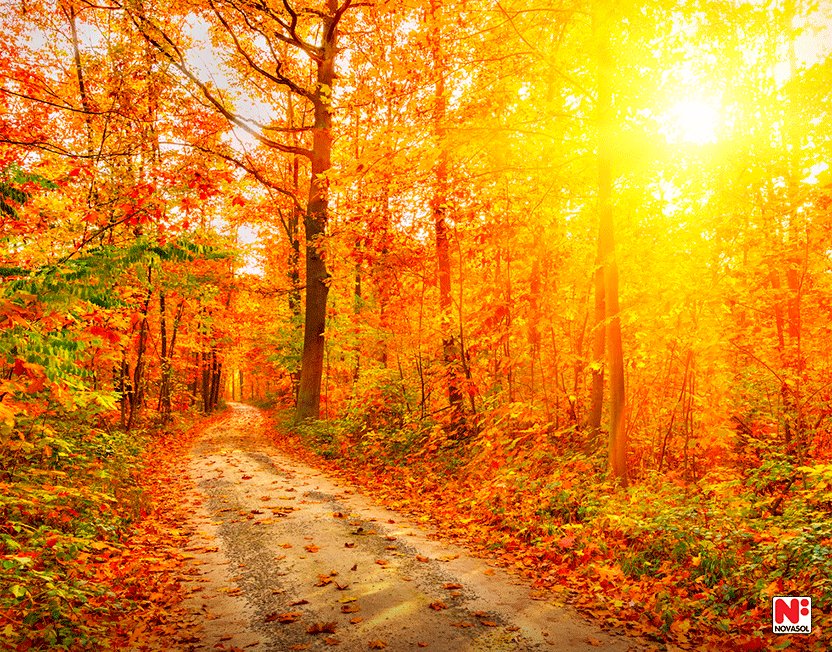 Bekijk nu onze herfstaanbiedingen in #Duitsland. Een heerlijke tijd om er met zijn allen even tussenuit te gaan. bit.ly/2yg0CuE