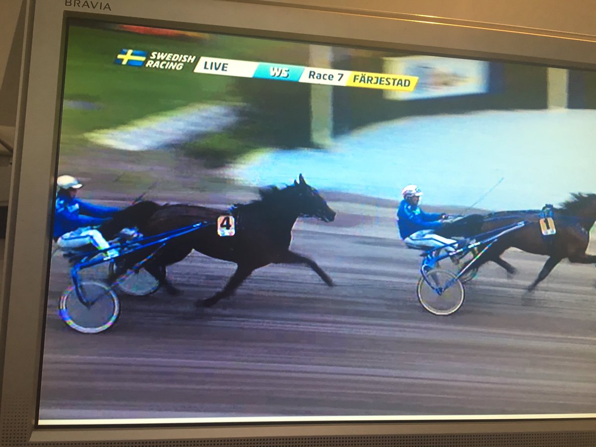 moncorge_c's tweet photo. Ça fait quoi @goopbjorn de se faire battre par son pere Le jour de son Anniversaire !? 😂 Grattis #TeamGoop 🍾👌🏽 https://t.co/ql8zXMVuDh