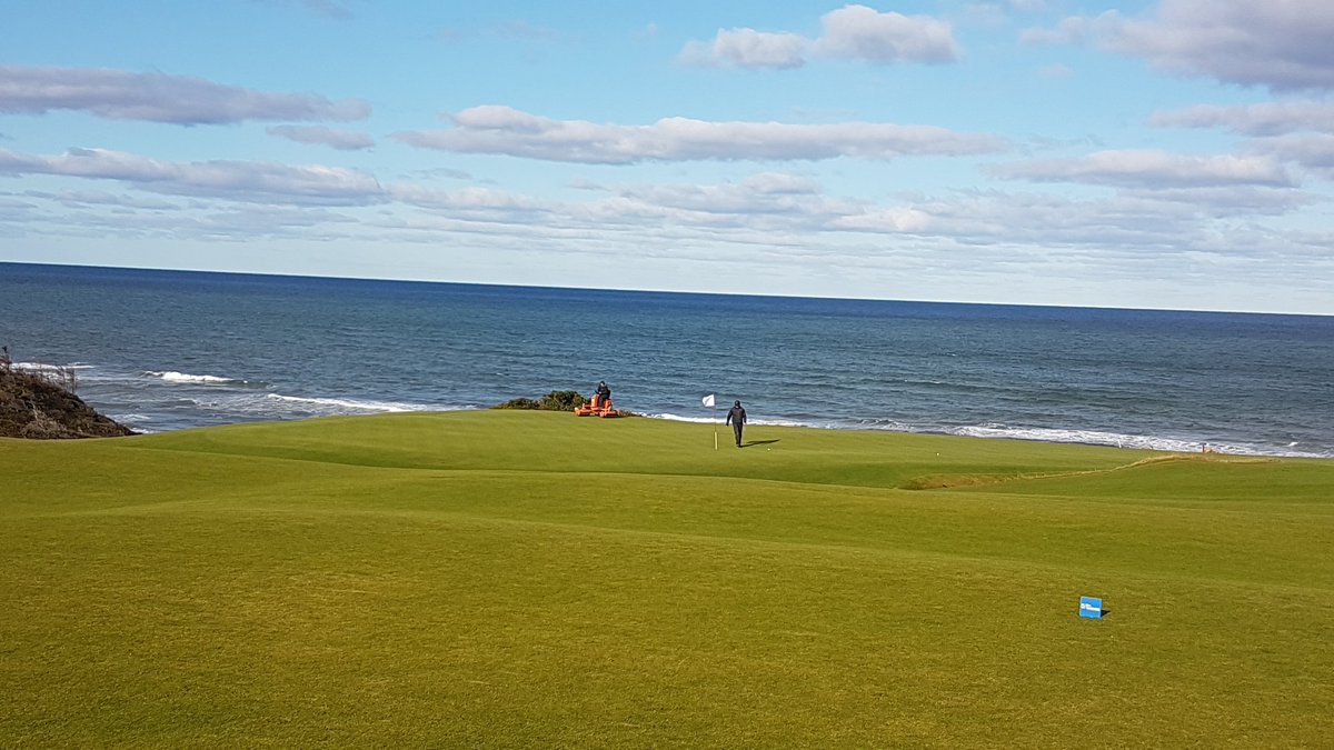 jbrunner_'s tweet photo. Rolling greens in October! @cabotlinks #getemfast https://t.co/ZIDNgQoBzZ