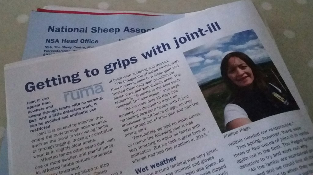 FlockHealth's tweet photo. Great article on #responsibleuse #lambs #jointill @PhillipaFarmVet @natsheep using @SheepVetsoc #goodpracticeguidelines @RUMA_UK #AMR https://t.co/ctIvBfkRW4