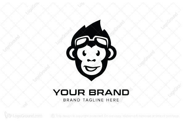 R5DesignStudio's tweet photo. Buy this logo from the below link
https://t.co/qXJxq6Reye https://t.co/GNEcWrGoIv