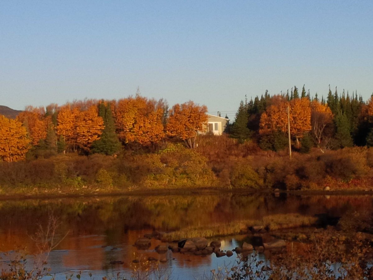 mnryland's tweet photo. A very large day in #LabradorStraits, #Fall colors are breathtaking!! Love it, my fav!! https://t.co/tB9XUU50Po