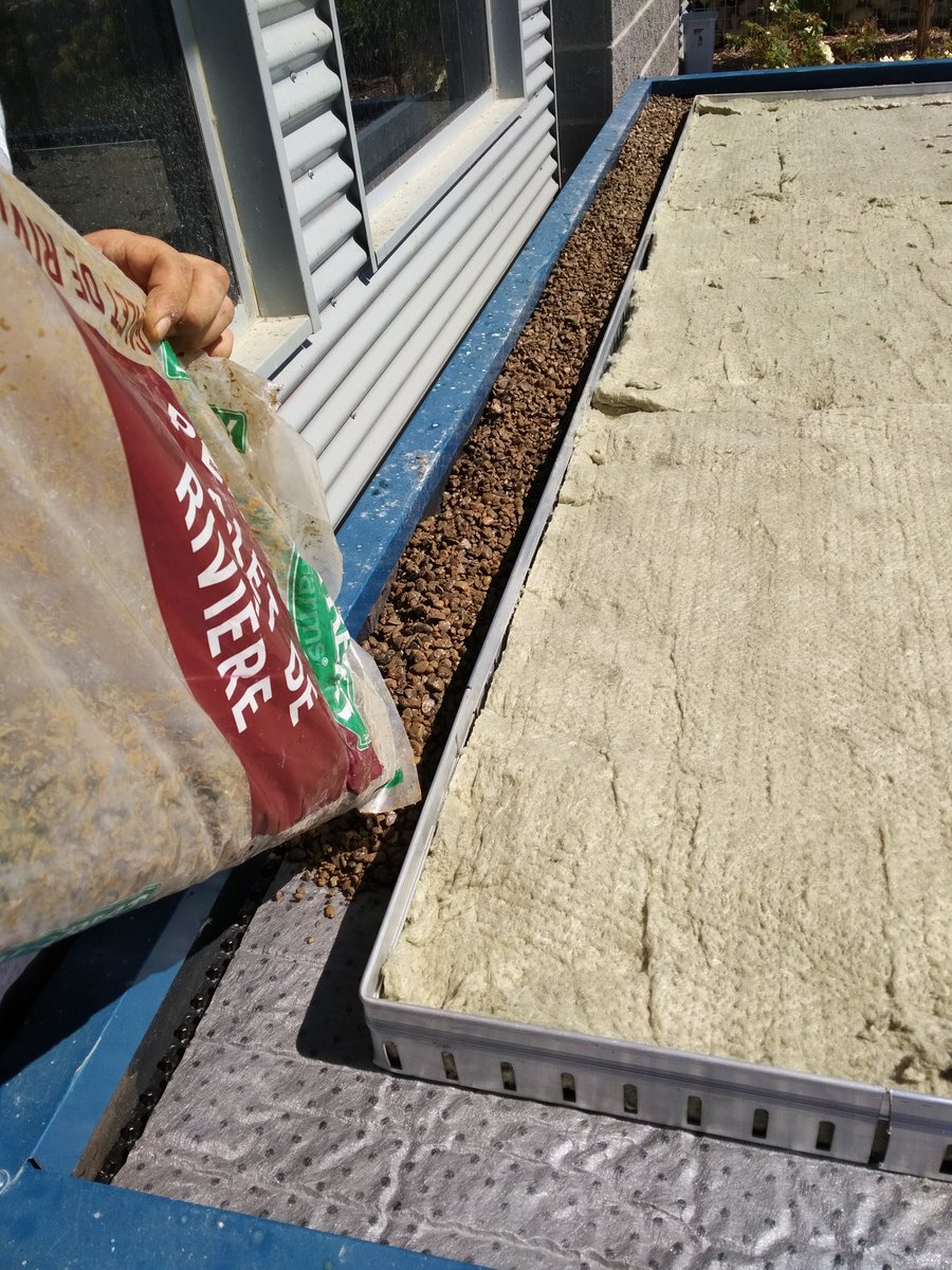 amahort's tweet photo. Oh my, looking at pics of #greenroof system installations at #IPPS17. If you install, call us, cut the work load & cost with @UrbanscapeKI. https://t.co/EgJZ8KZVZ6