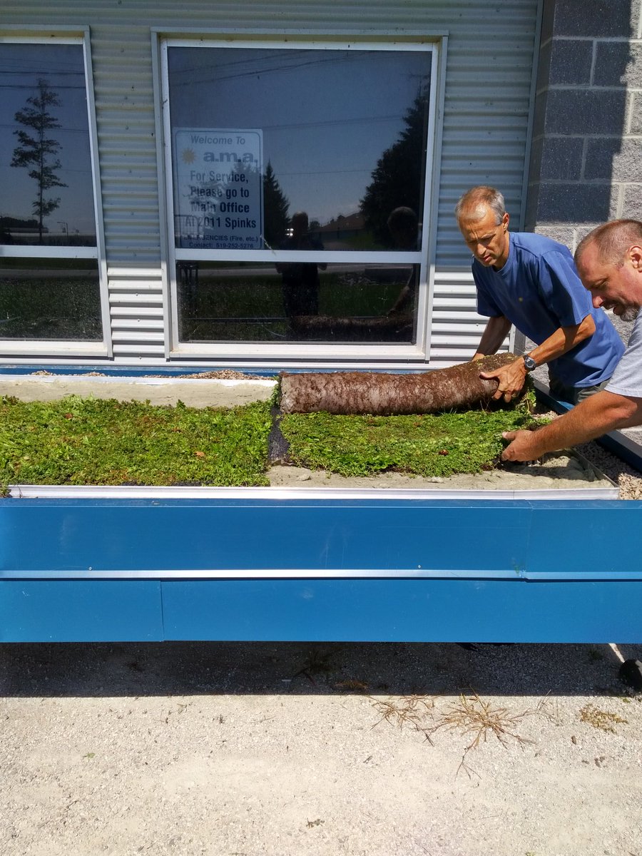 amahort's tweet photo. Oh my, looking at pics of #greenroof system installations at #IPPS17. If you install, call us, cut the work load & cost with @UrbanscapeKI. https://t.co/EgJZ8KZVZ6