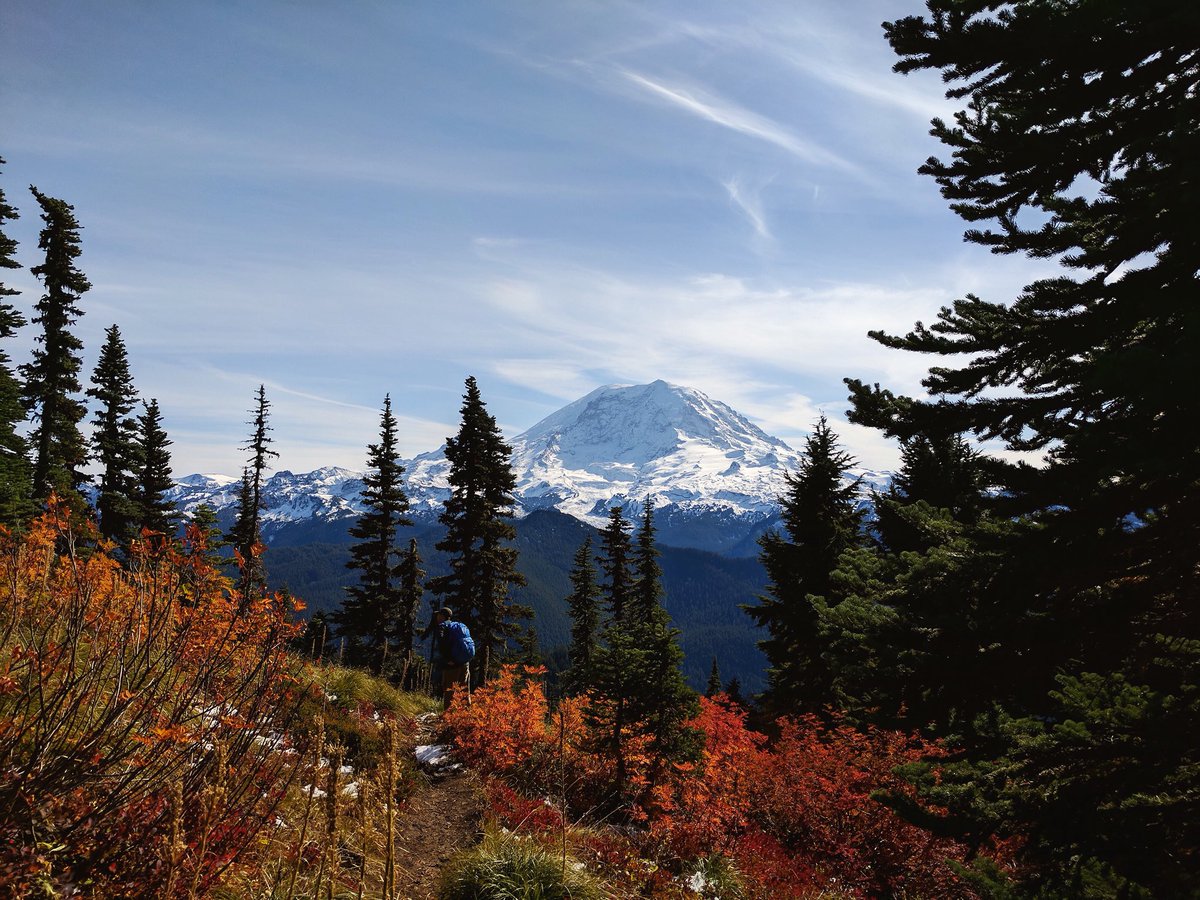 pnwanderers's tweet image. Happy Friday!